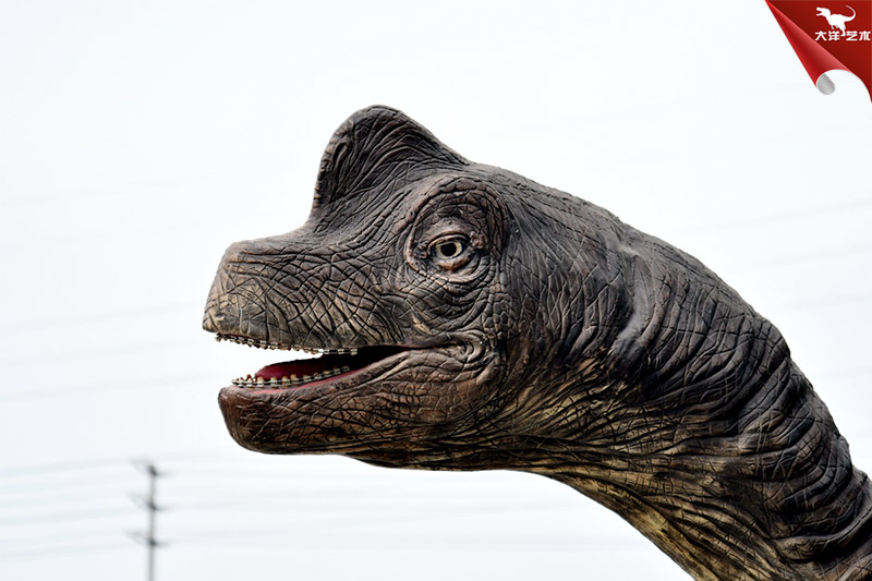 仿真恐龍-仿真腕龍頭 