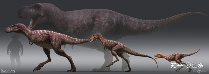 霸王龍一生分為21個階段，其中兩個階段最為關(guān)鍵！